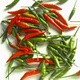 Image for article titled Are New GNC "Spicy" Weight-Loss Pills Just Corporate-Funded Hot Air?